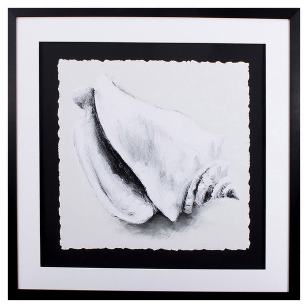 Black and White Conch Shell 2 Wall Art