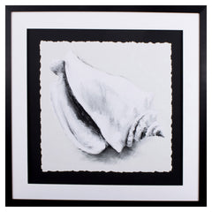 Black and White Conch Shell 2 Wall Art
