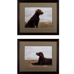 Set of Two Chocolate Lab Wall Art