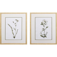 Set of Two Green and White Plants Wall Art