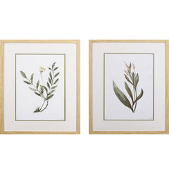 Set of Two Green Plants Wall Art