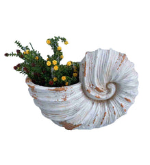 9" Distressed Cream and Terra Cotta Conch Shell Planter