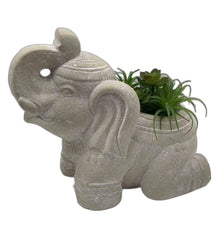 17"  Cream Elephant with Succulents Indoor Outdoor Statue